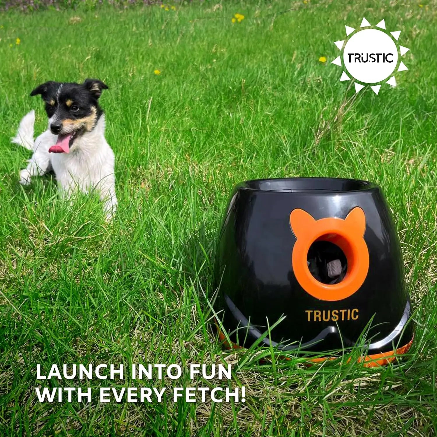 Automatic Ball Launcher for Dog, Indoor or Outdoor Thrower Fetch Toy, Adjustable Range (Ball Launcher), Ball Launcher