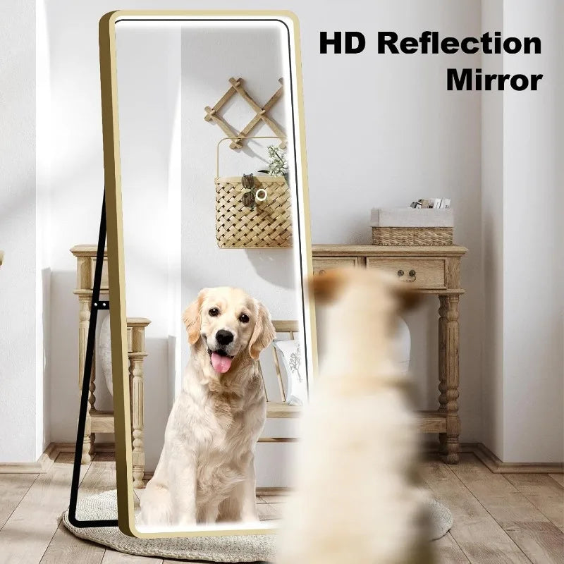 Full Length Standing Mirror with LED Lights,3 Colors Dimmable Lighting Round Rectangle Full Body Mirror, Wall Mirror