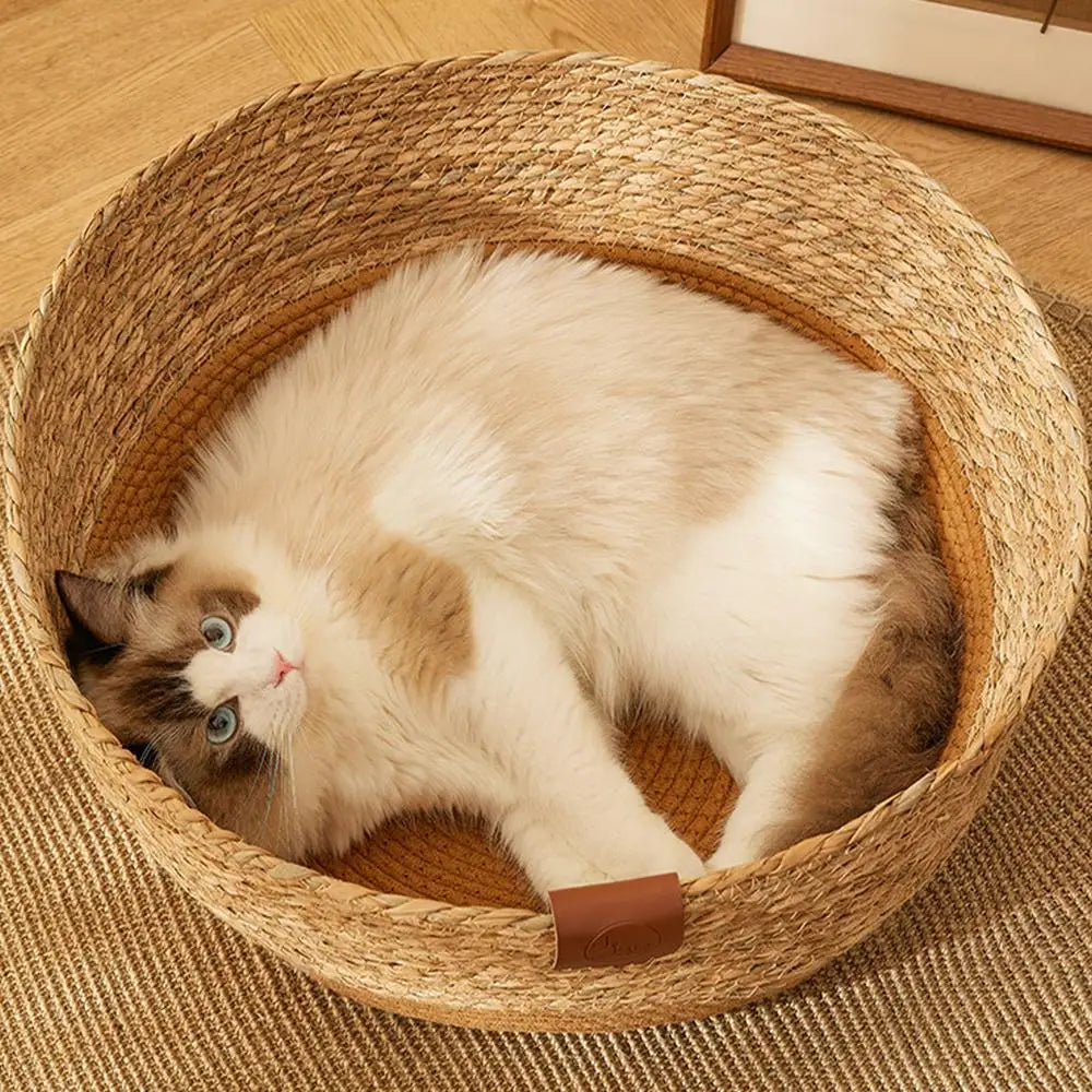 PE Rattan Woven Cat Bed Lounger Wicker Dog Bed Cat Scratching Board Cozy Kitten Nest Pet Furniture For Cat Scratching Rabbits