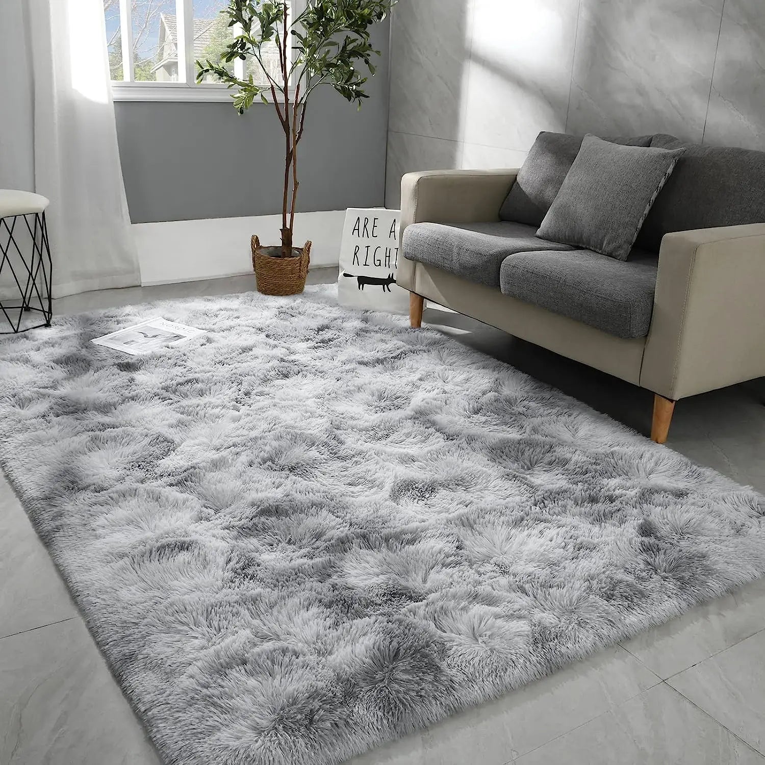 Noahas Fluffy Rugs for Bedroom Fuzzy Area Rugs for Living Room Soft Kids Carpet Non Slip Rugs for Hardwood Floors Room Decor