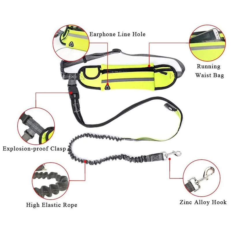 Hands Free Dog Leash with Zipper Pouch Durable Reflective Bungee for Medium to Large Dogs Walking Jogging and Running