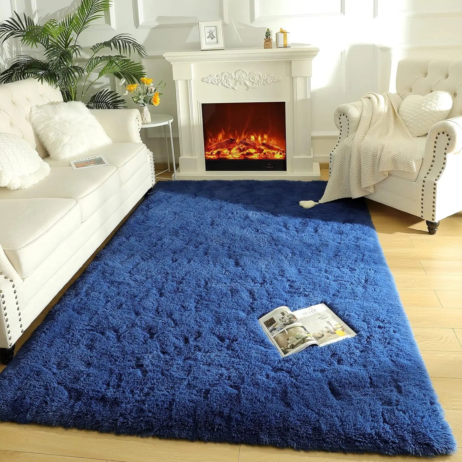 Noahas Fluffy Rugs for Bedroom Fuzzy Area Rugs for Living Room Soft Kids Carpet Non Slip Rugs for Hardwood Floors Room Decor