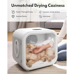 Drybo Plus Automatic Pet Dryer Box - Ultra Quiet, Smart Temperature Control, 360° Efficient for Cats and Small Dogs