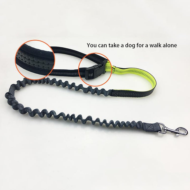 Hands Free Dog Leash with Zipper Pouch Durable Reflective Bungee for Medium to Large Dogs Walking Jogging and Running