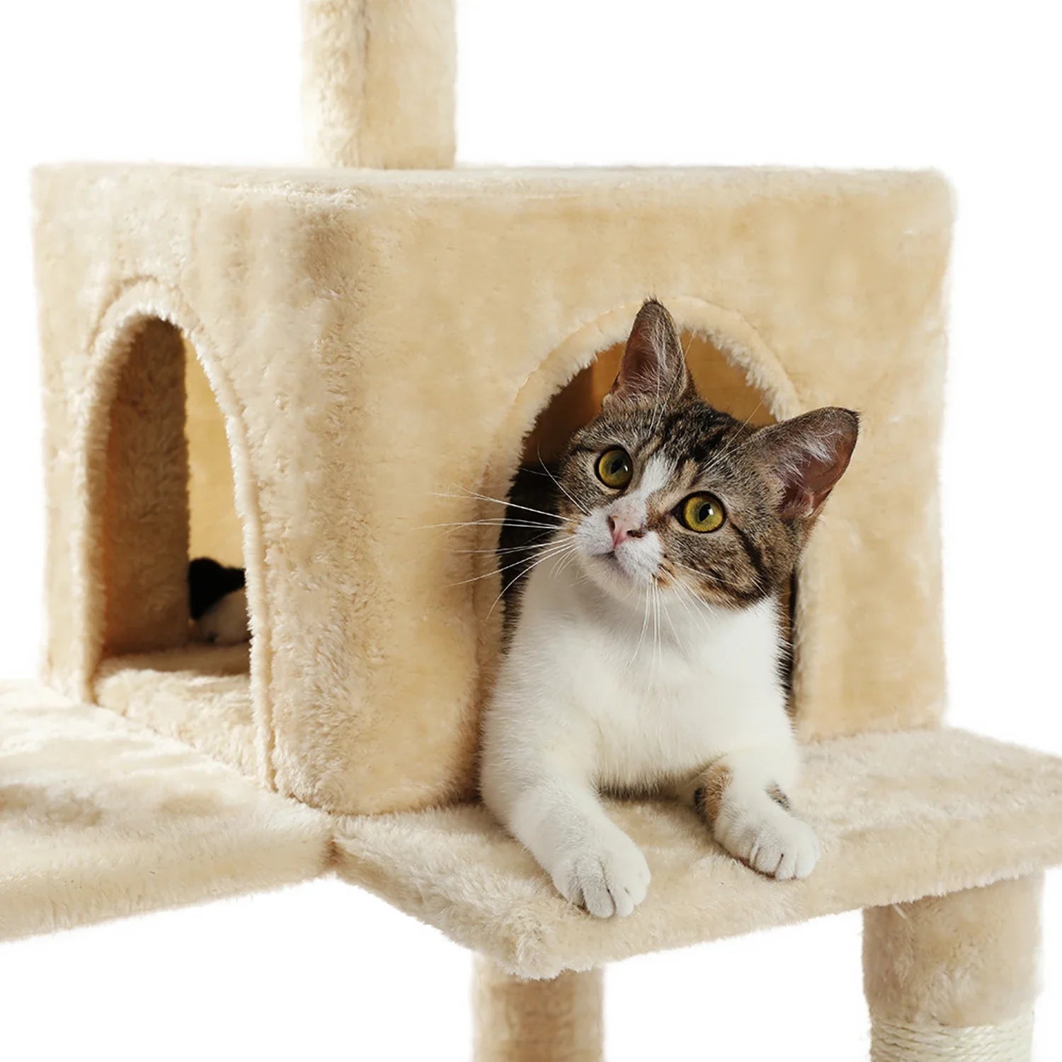 Multi-Level Cat Tree Tower with Condo Scratching Post for Cat Furniture House Cat Scratcher Cat Supplies Cat Toy