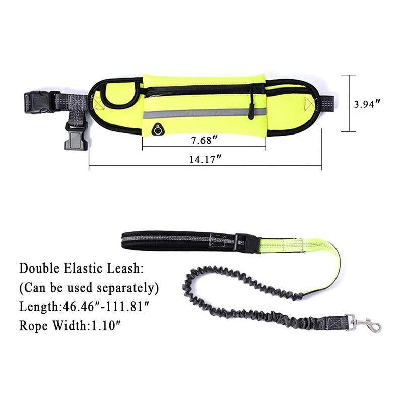 Hands Free Dog Leash with Zipper Pouch Durable Reflective Bungee for Medium to Large Dogs Walking Jogging and Running