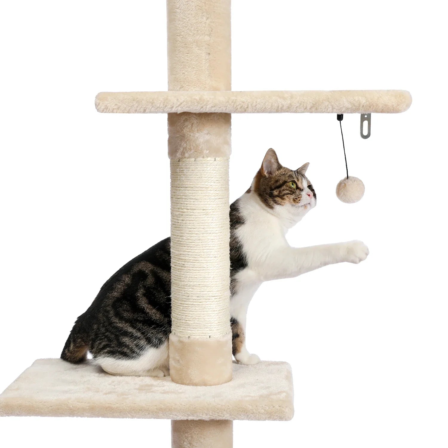 Adjustable 228-274cm Height Floor-to-Ceiling Vertical Cat Tree Stable Tall Cat Climbing Tree Cat Kittens Cat Toy