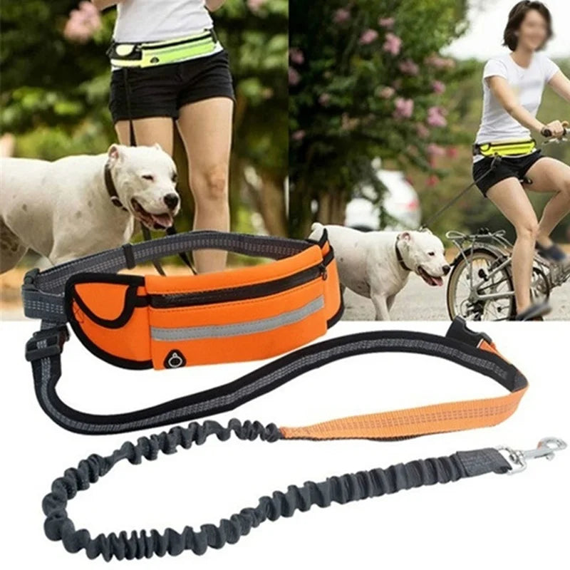 Hands Free Dog Leash with Zipper Pouch Durable Reflective Bungee for Medium to Large Dogs Walking Jogging and Running