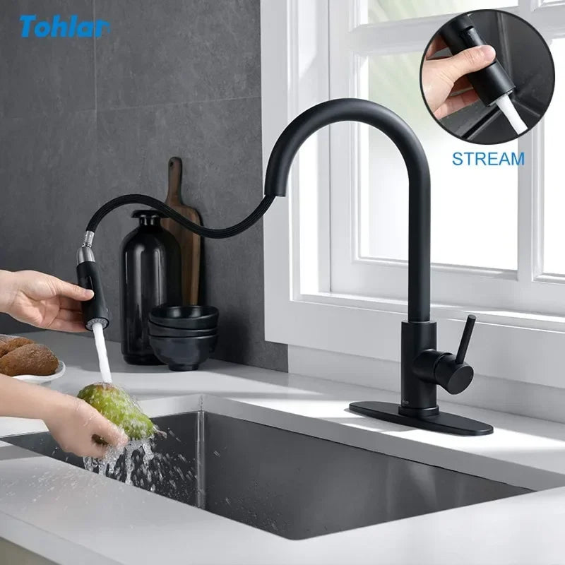 Tohlar Black Kitchen Faucets with Pull-Down Sprayer Single Handle Kitchen Faucet, Modern Stainless Steel Kitchen Sink