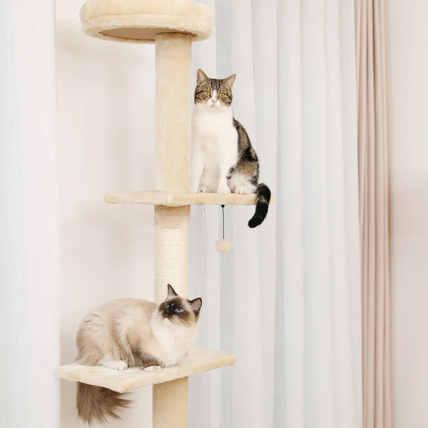 Adjustable 228-274cm Height Floor-to-Ceiling Vertical Cat Tree Stable Tall Cat Climbing Tree Cat Kittens Cat Toy