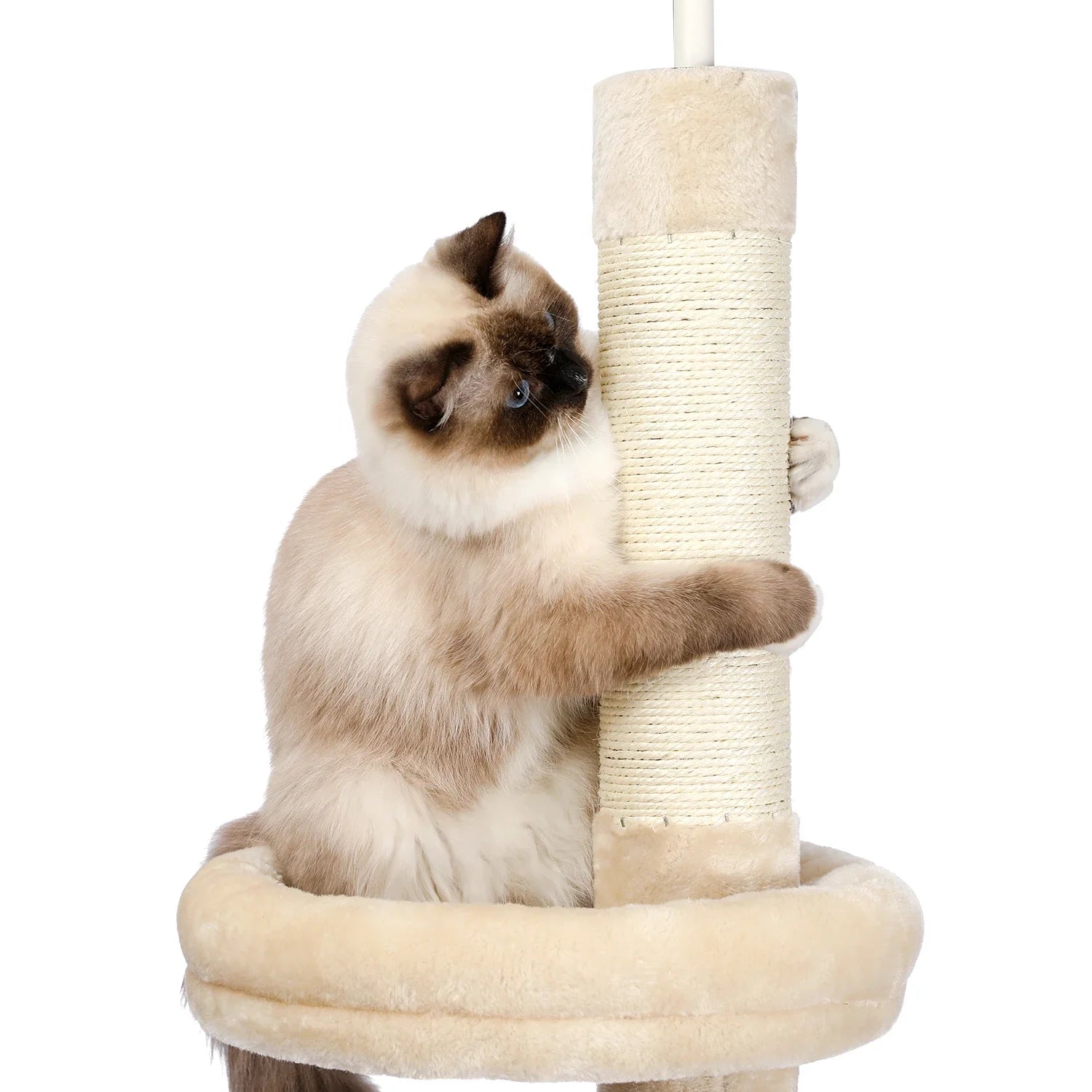 Adjustable 228-274cm Height Floor-to-Ceiling Vertical Cat Tree Stable Tall Cat Climbing Tree Cat Kittens Cat Toy