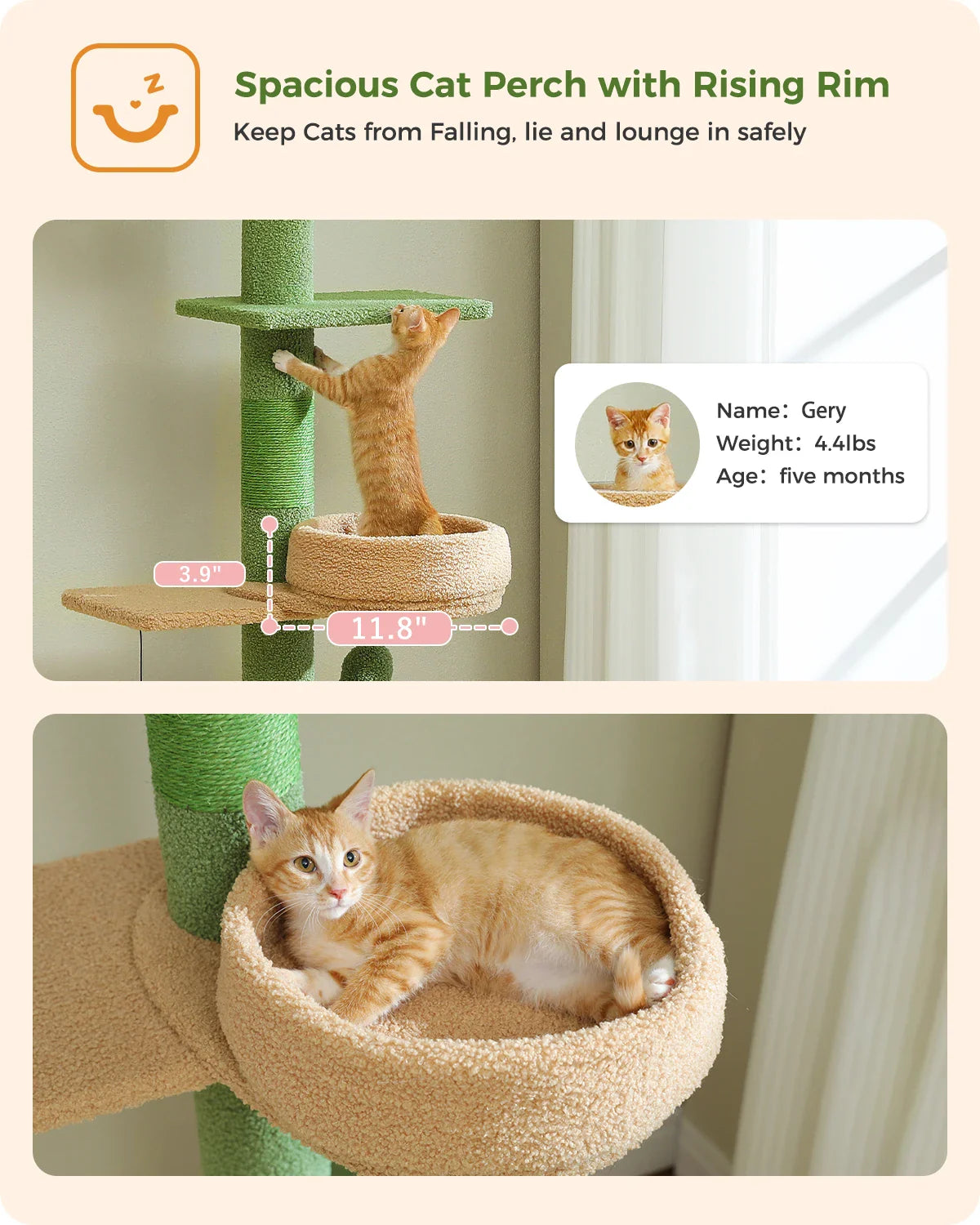 Adjustable 228-274cm Height Floor-to-Ceiling Vertical Cat Tree Stable Tall Cat Climbing Tree Cat Kittens Cat Toy