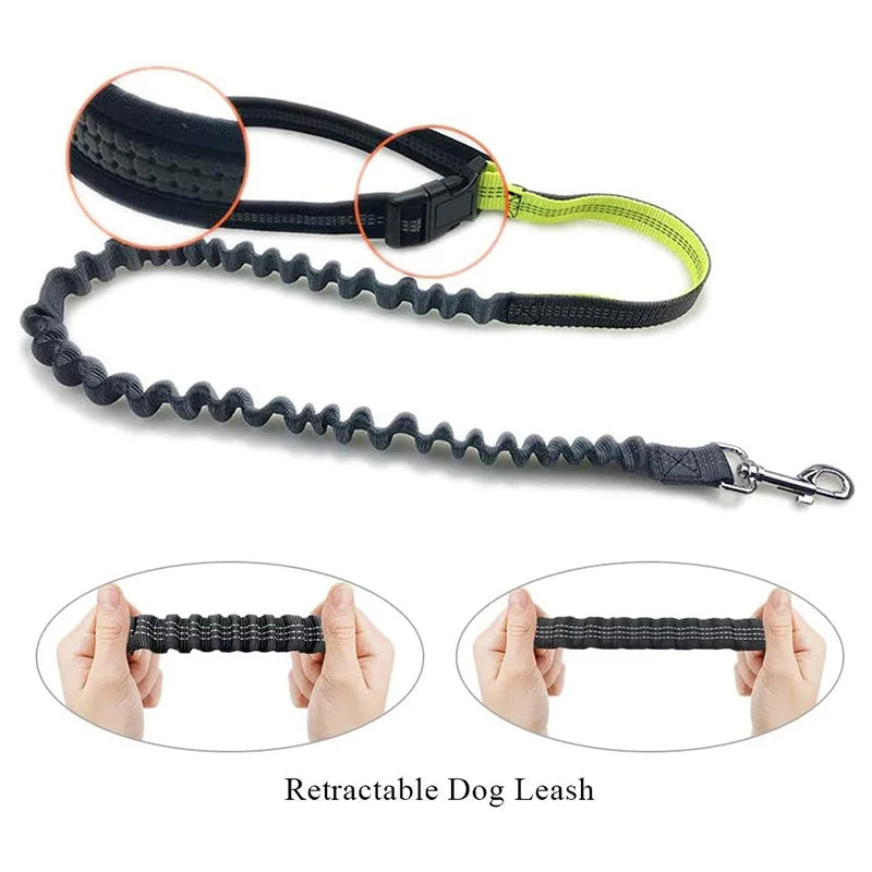 Hands Free Dog Leash with Zipper Pouch Durable Reflective Bungee for Medium to Large Dogs Walking Jogging and Running