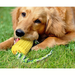 Tough & Durable Squeaky Dog Chew Toys for Aggressive Chewers - Long-Lasting Interactive Teethers with Textured Surface, Non-Toxi