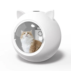 Cat Dryer Smart Pet Drying Box Household Fully Automatic Silent Small Dog Bathing and Hair Blowing Machine Pet Hair Dryer