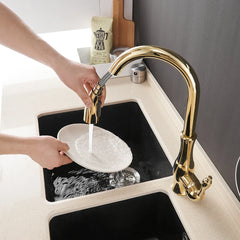 Gold Kitchen Faucets Silver Single Handle Pull Out Kitchen Tap Single Hole Handle Swivel Degree Water Mixer Tap Mixer Tap 866011