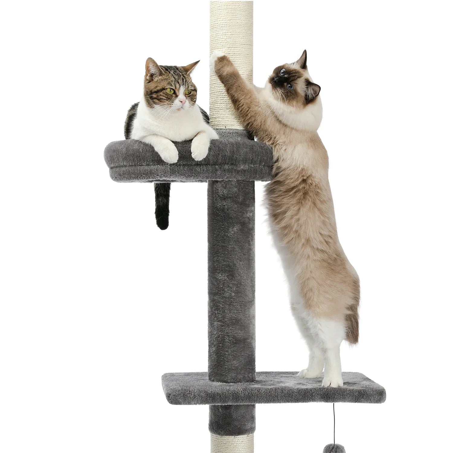 Adjustable 228-274cm Height Floor-to-Ceiling Vertical Cat Tree Stable Tall Cat Climbing Tree Cat Kittens Cat Toy