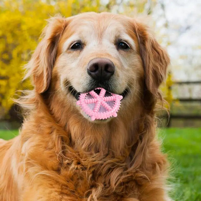 Dog Toys For Aggressive Chewers Dog Toothbrush Chew Toy Puppy Teething Ring Indestructible Squeaky Toy Food-Grade Teethers For