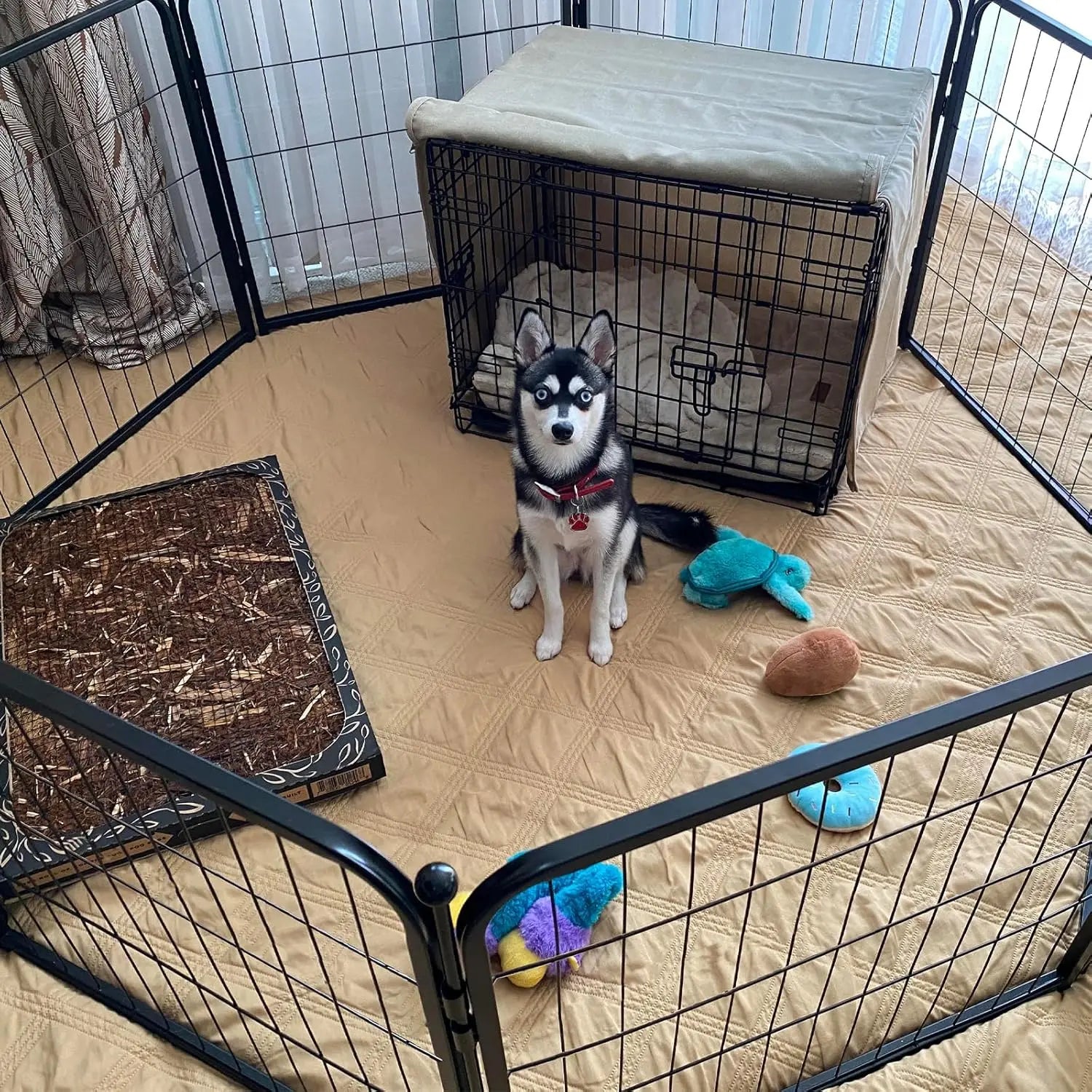 Dog Playpen Designed for Indoor Use, 40" Height for Large Dogs, Black Patented, Heavy Duty Metal Portable Dog Pens Fences