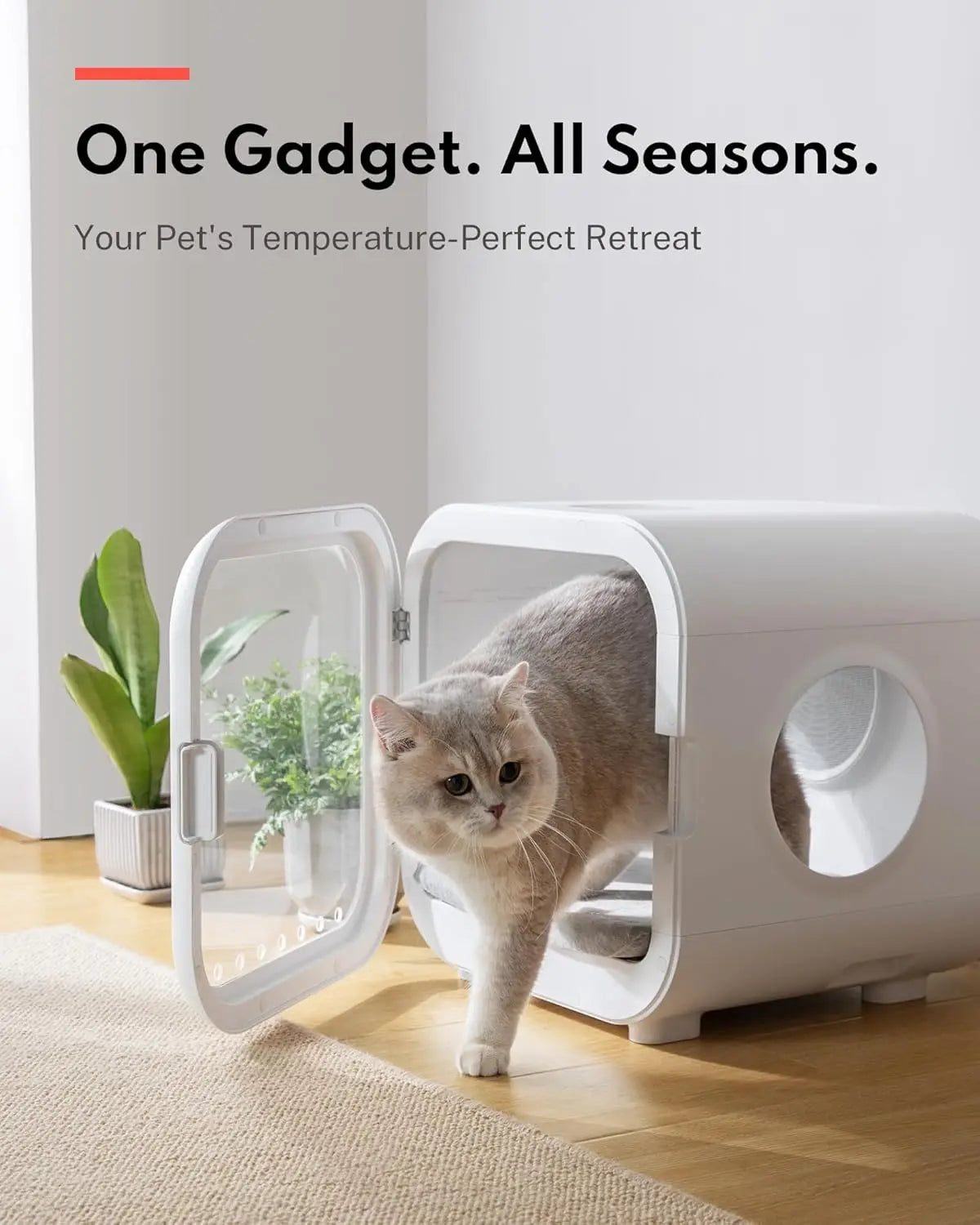 Automatic Pet Dryer Box - Ultra Quiet, Smart Temperature Control, 360° Efficient for Cats and Small Dogs