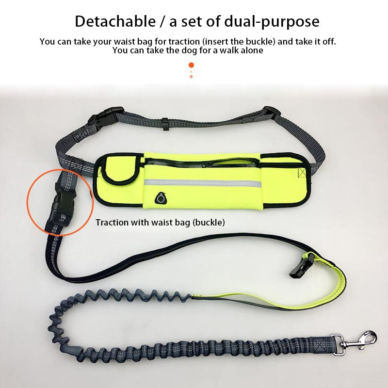 Hands Free Dog Leash with Zipper Pouch Durable Reflective Bungee for Medium to Large Dogs Walking Jogging and Running