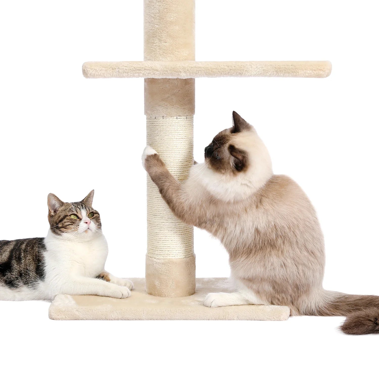 Adjustable 228-274cm Height Floor-to-Ceiling Vertical Cat Tree Stable Tall Cat Climbing Tree Cat Kittens Cat Toy