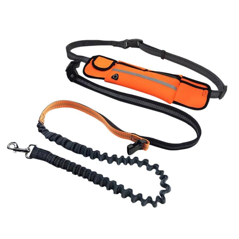 Hands Free Dog Leash with Zipper Pouch Durable Reflective Bungee for Medium to Large Dogs Walking Jogging and Running