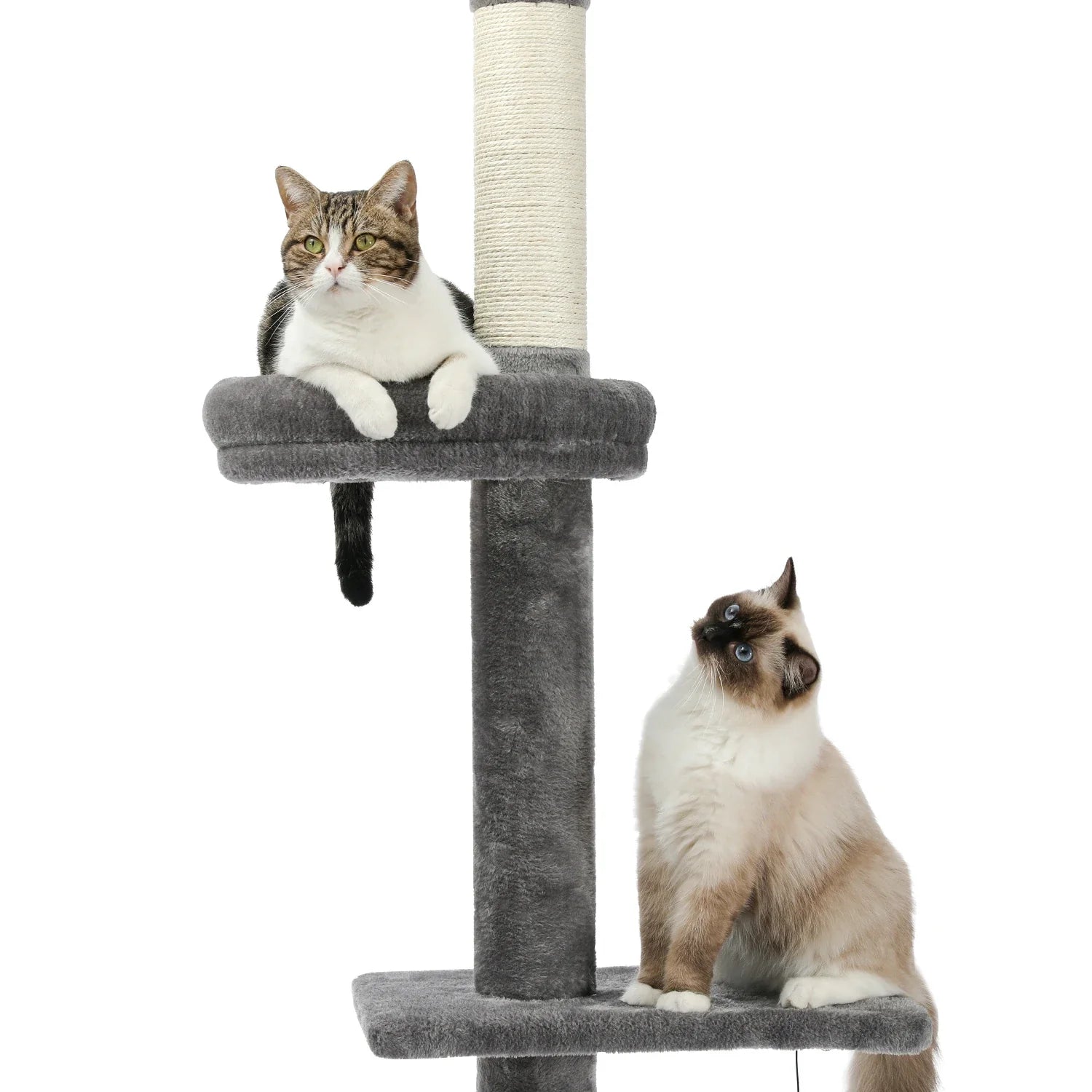 Adjustable 228-274cm Height Floor-to-Ceiling Vertical Cat Tree Stable Tall Cat Climbing Tree Cat Kittens Cat Toy