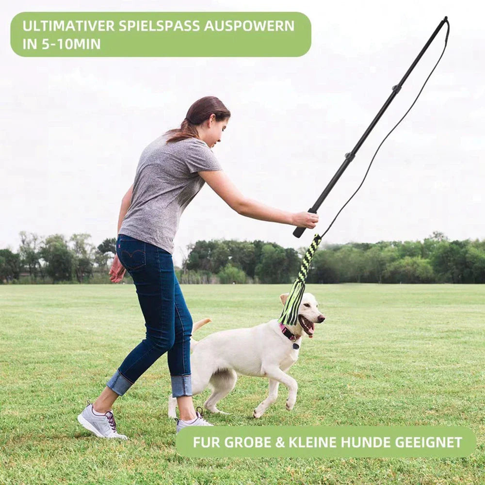 Extendable Flirt Pole Interactive Dog Toys for Small Large Dogs Chase Drag Chew Toys Outdoor Training Exercise Entertainment